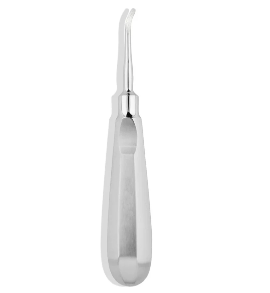 DENTAL INSTRUMENT